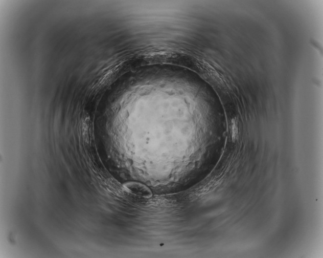 X0000097491059200802291426