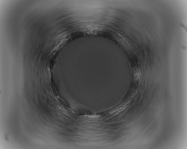 X0000097491060200802291426