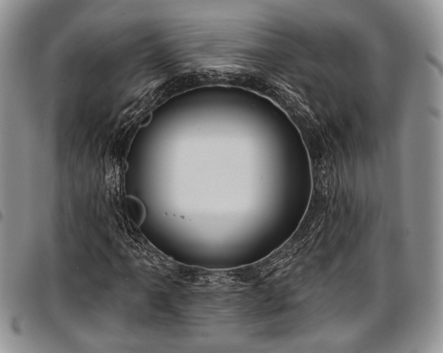 X0000097491061200802291426