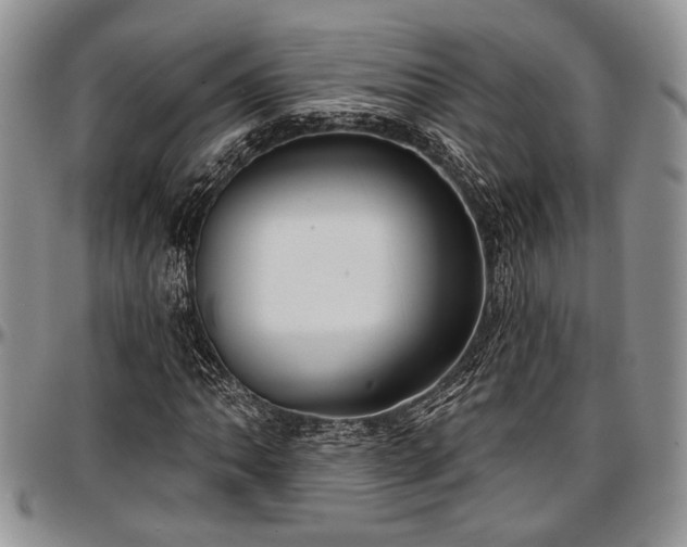 X0000097491062200802291426