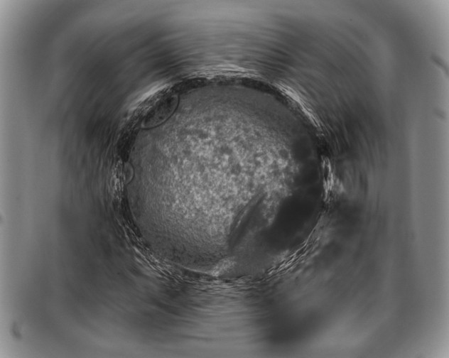 X0000097491063200802291426