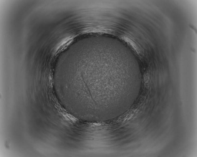 X0000097491064200802291426