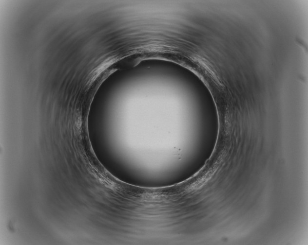 X0000097491065200802291426