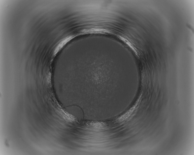 X0000097491066200802291426