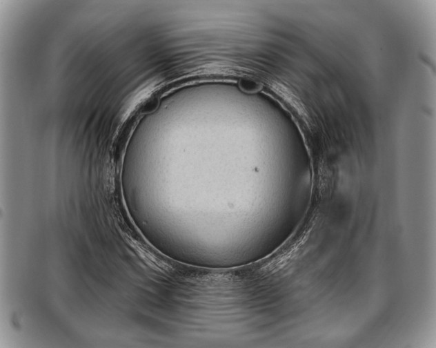 X0000097491067200802291426