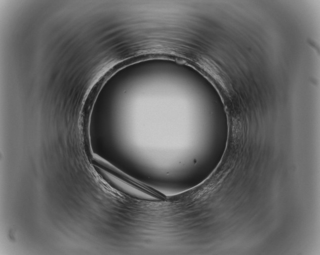 X0000097491068200802291426