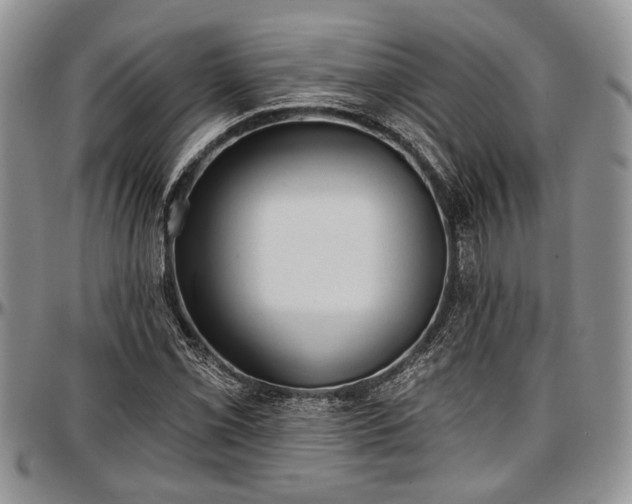 X0000097491069200802291426