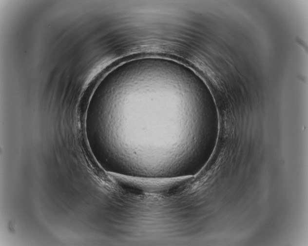 X0000097491070200802291426