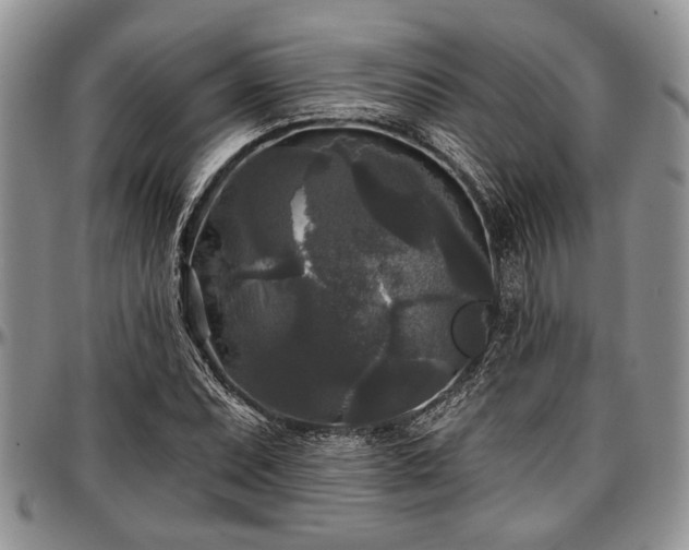 X0000097491071200802291426