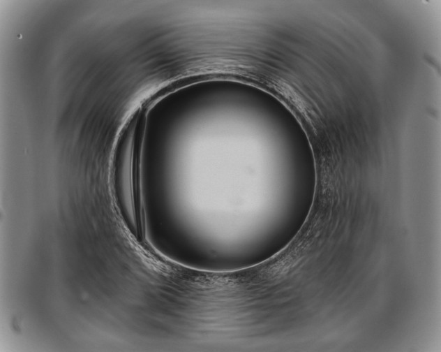 X0000097491072200802291426