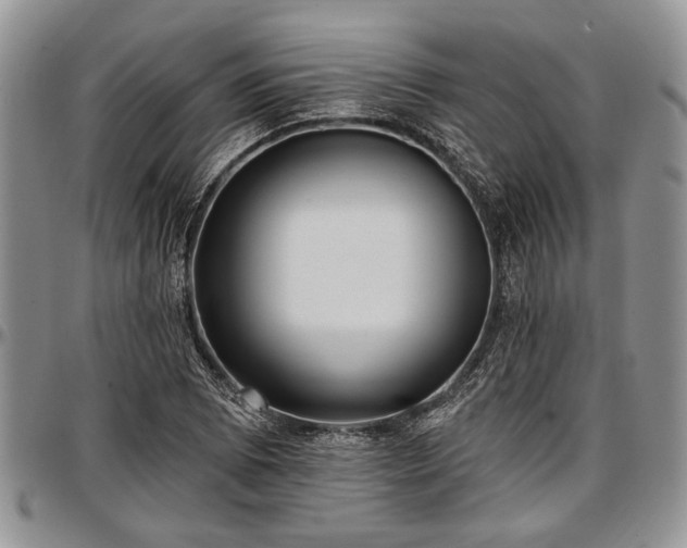 X0000097491073200802291426