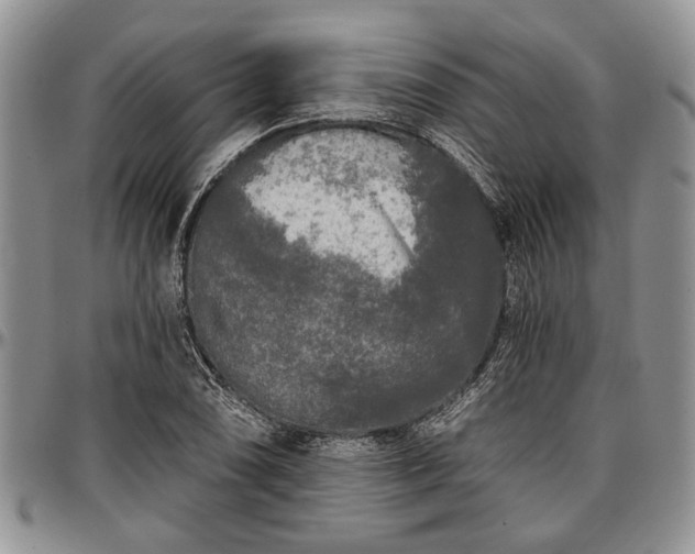 X0000097491074200802291426