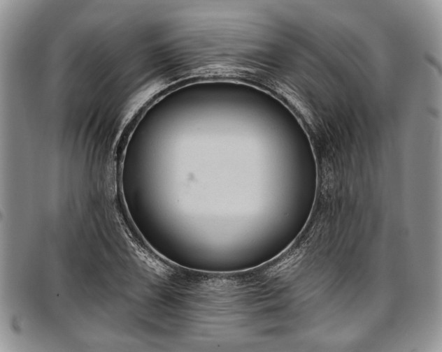 X0000097491075200802291426