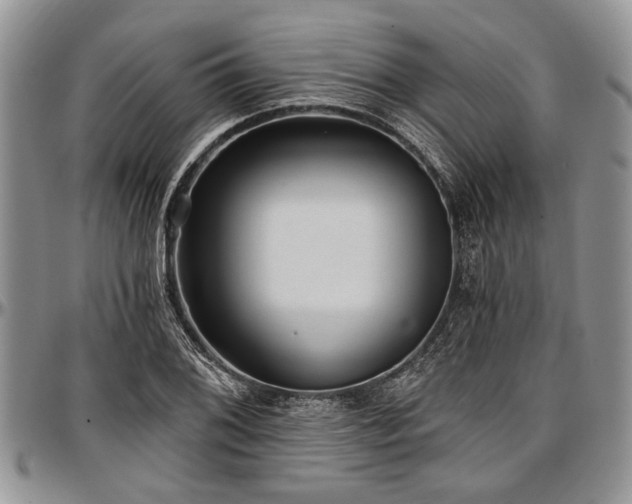 X0000097491076200802291426