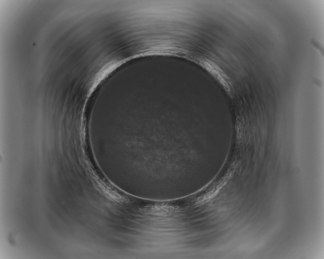 X0000097491077200802291426