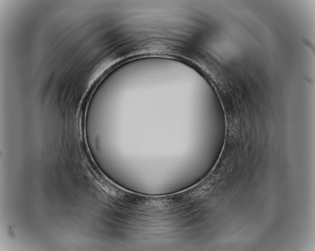 X0000097491078200802291426