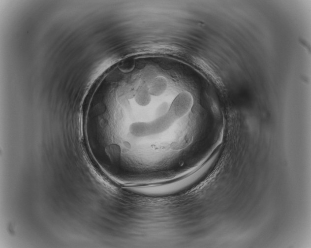 X0000097491079200802291426