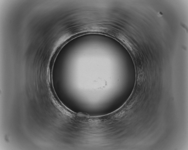 X0000097491080200802291426