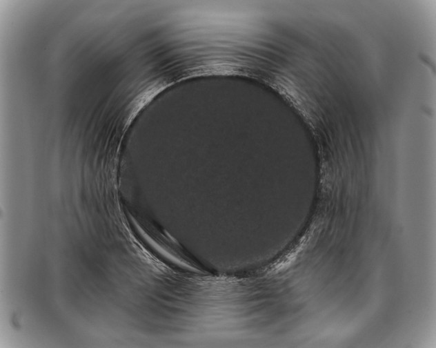 X0000097491081200802291426