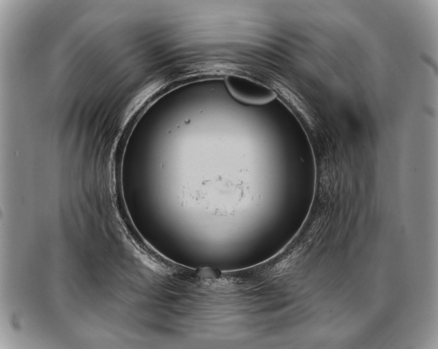 X0000097491082200802291426