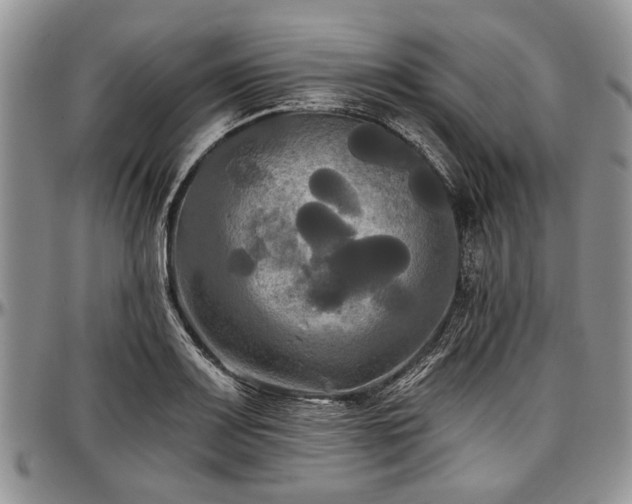 X0000097491083200802291426