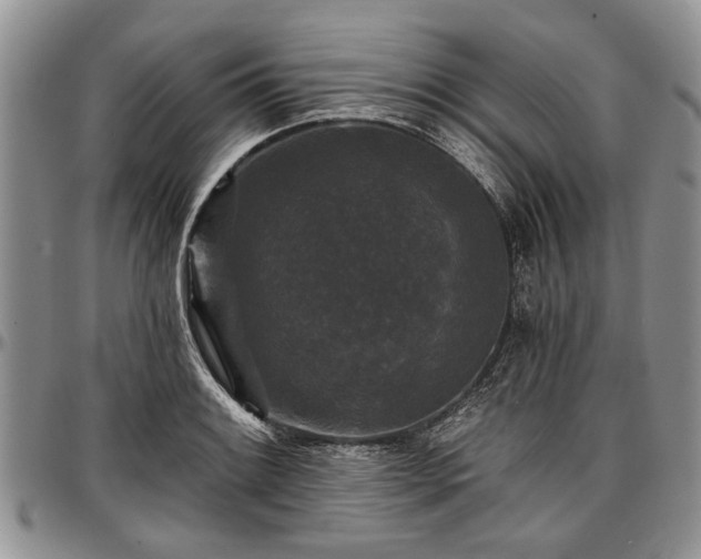 X0000097491084200802291426