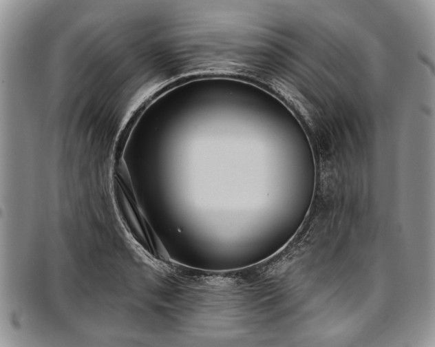 X0000097491085200802291426