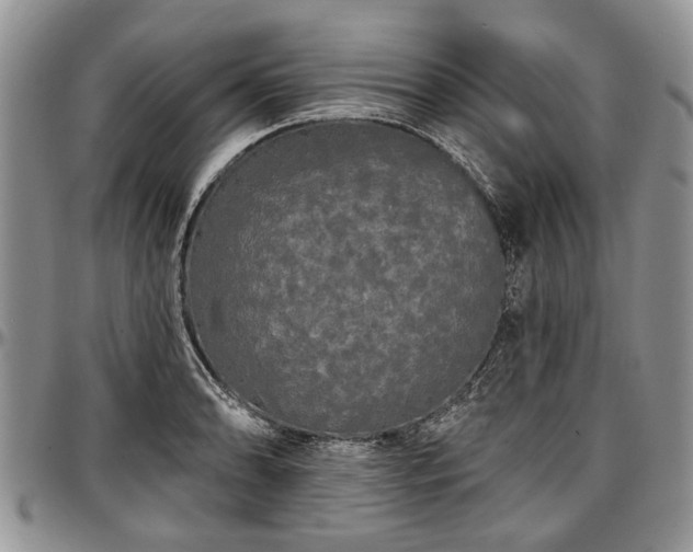 X0000097491086200802291426