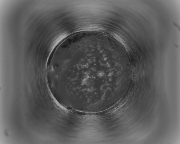 X0000097491087200802291426