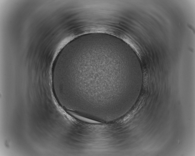 X0000097491088200802291426