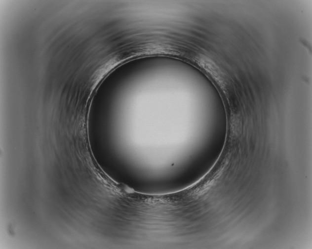 X0000097491089200802291426