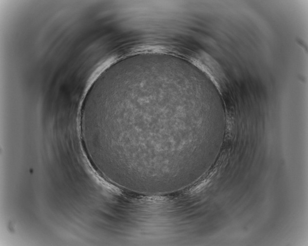 X0000097491090200802291426