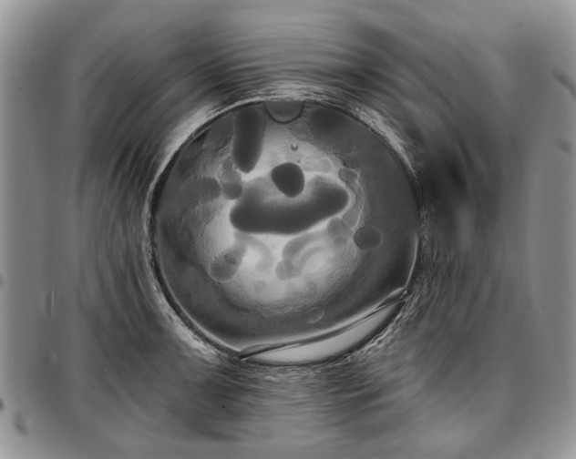 X0000097491091200802291426