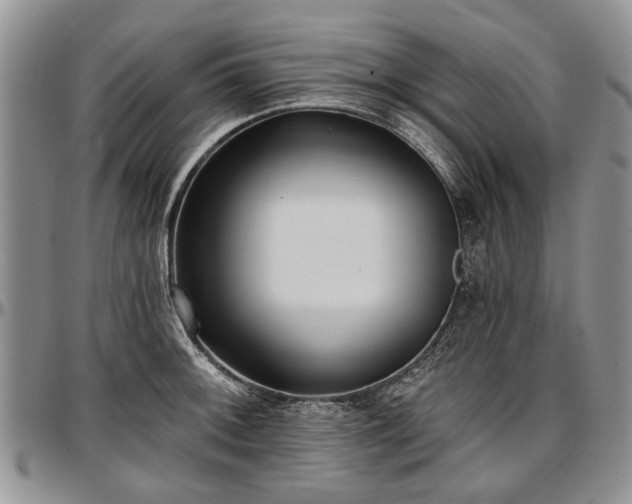 X0000097491092200802291426