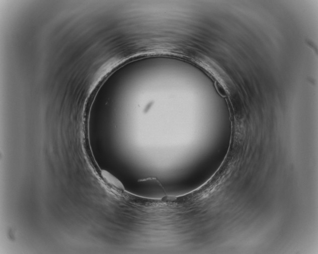 X0000097491093200802291426