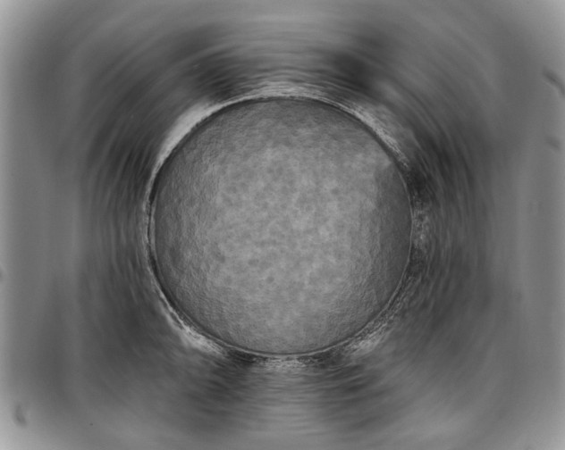 X0000097491094200802291426