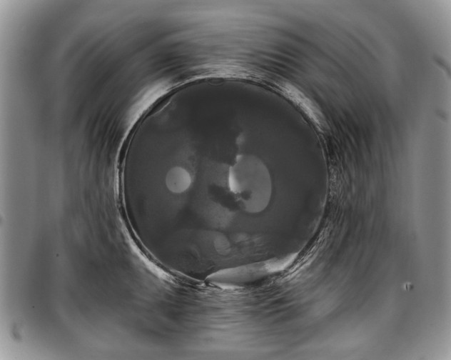 X0000097491095200802291426