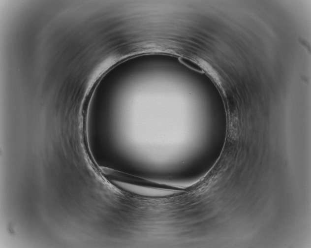 X0000097491096200802291426