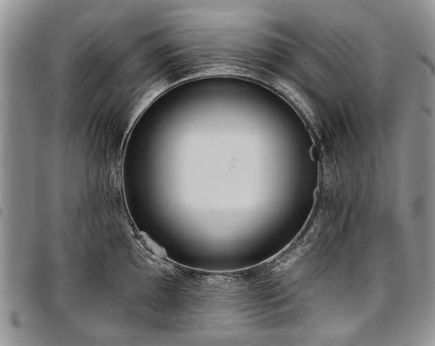 X0000097491097200802291426