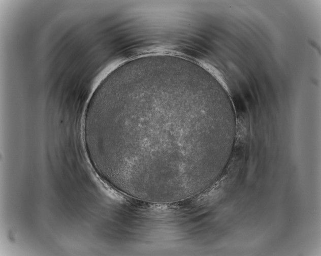 X0000097491098200802291426