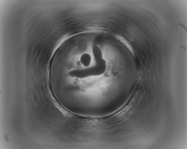 X0000097491099200802291426