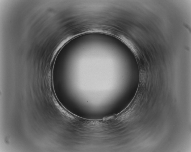 X0000097491100200802291426