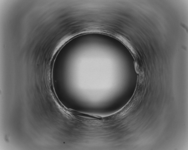 X0000097491101200802291426