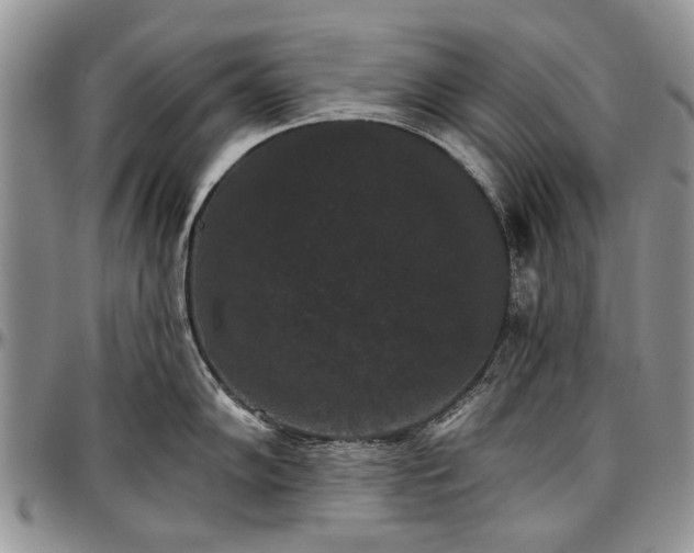 X0000097491102200802291426