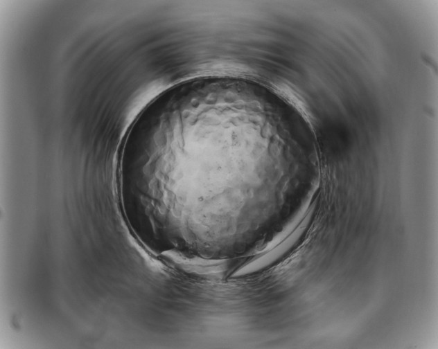 X0000097491103200802291426