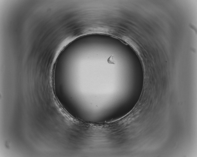 X0000097491104200802291425