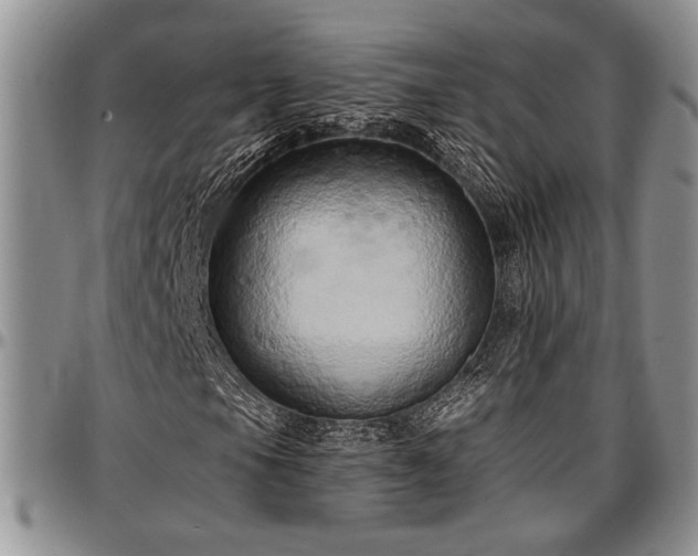 X0000097491105200802291425