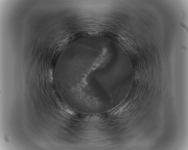 X0000097491106200802291425