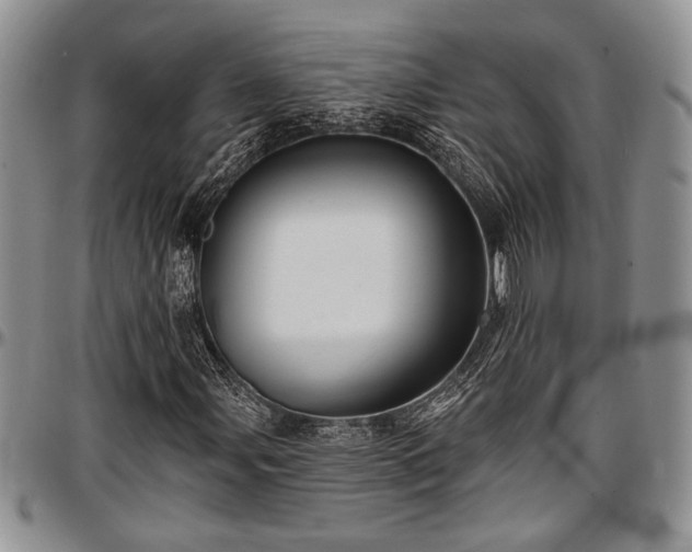 X0000097491107200802291425