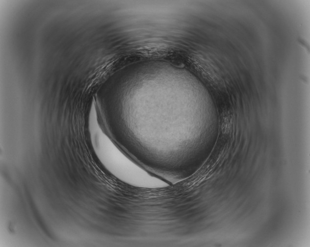 X0000097491108200802291425